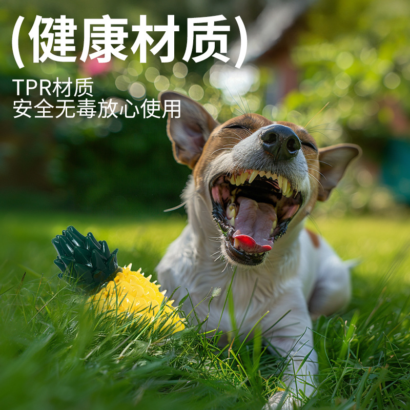 Pet frozen fruit series: Non-toxic and environmentally friendly dog teeth grinding and cleaning water, chilled lemon, cool and sound-making toys details Picture
