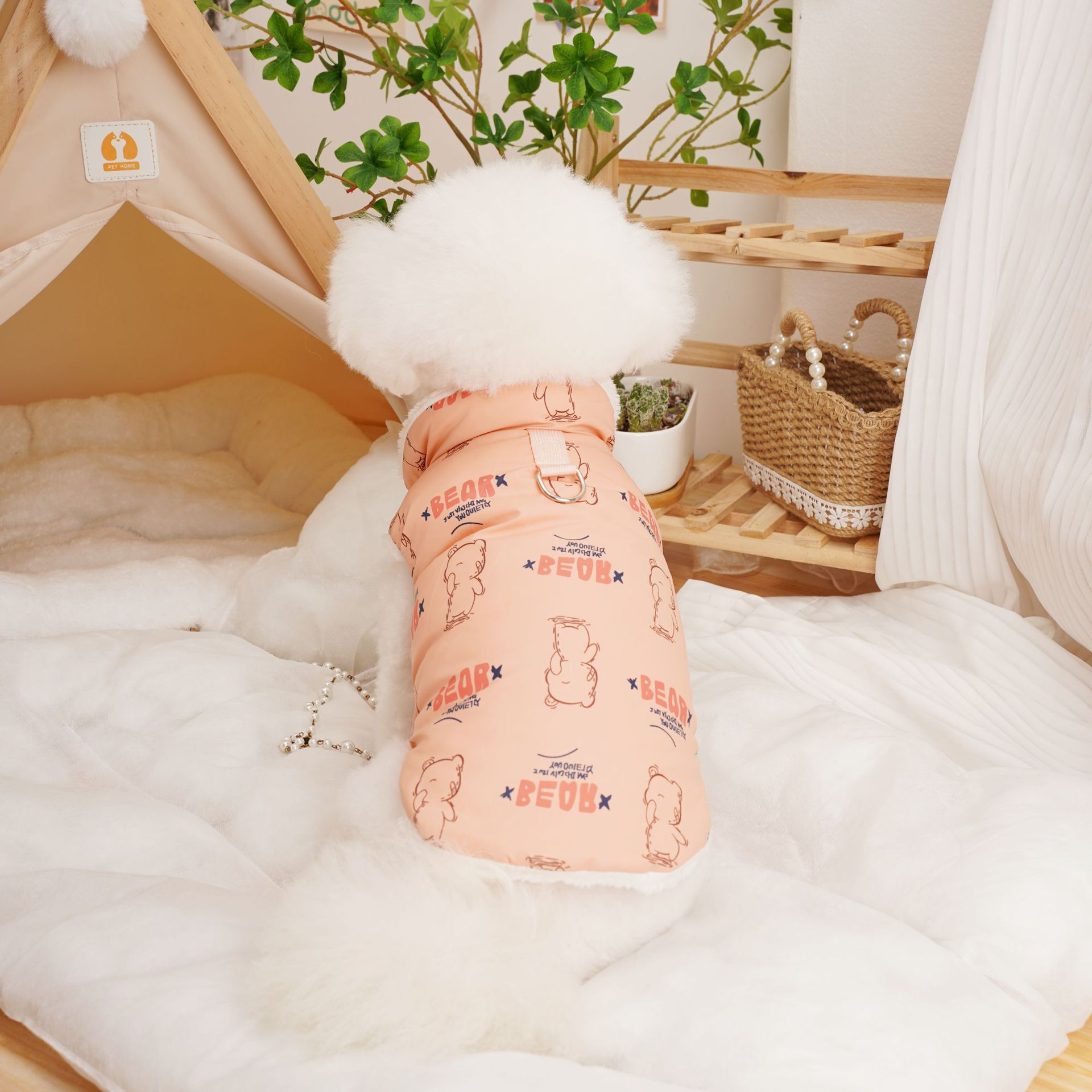 Gato cachorros ropa para perros ropa para mascotas otoño invierno chaqueta de algodón engrosado teddy by bear small dog venta caliente Application Scenario