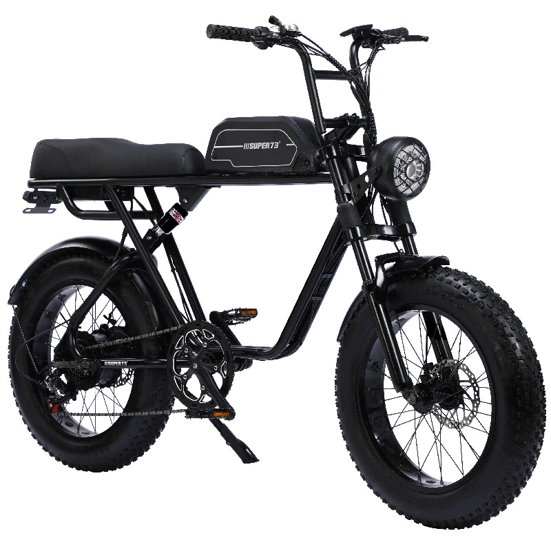 20 Inch Fat Tire Snow Electric Bicycle Variable Speed Folding Power Beach Lithium Electric Mountain Bike Source Factory