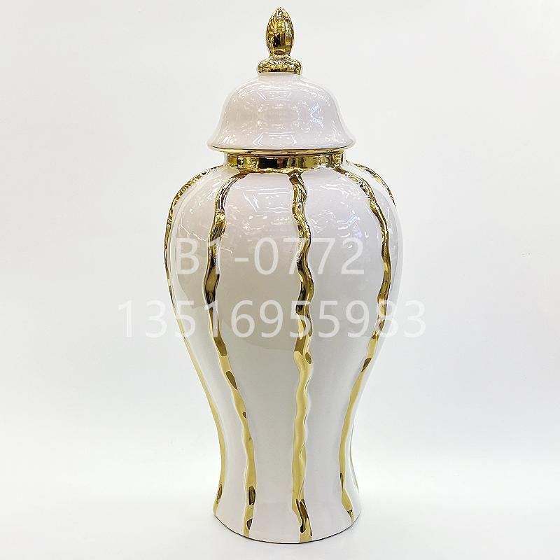 Light luxury modern simple ceramic electroplating general pot vase home crafts decoration living room porch surface decoration details Picture
