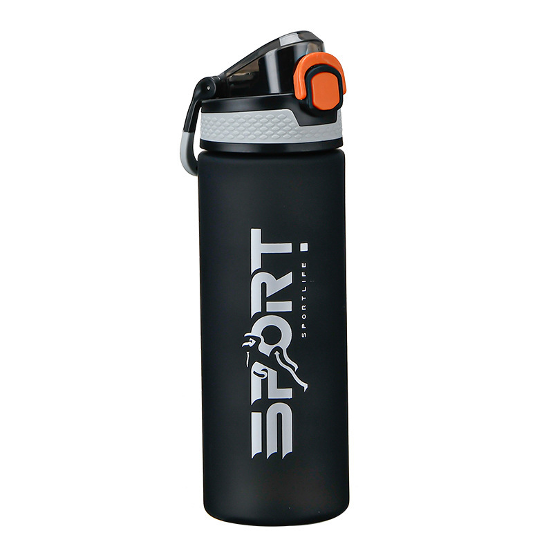 Portable sports frosted water bottle Item Picture
