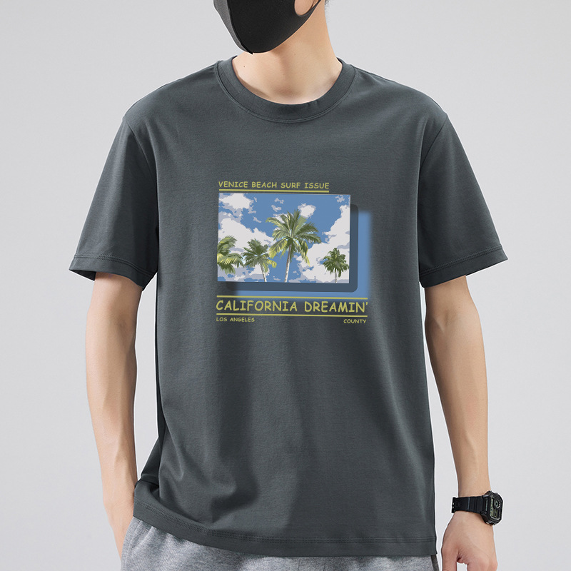 Men's Hip Hop Street Style Cotton Short Sleeve T-Shirt Men's Round Neck Half Sleeve Loose Top Wholesale Source Specification drawing