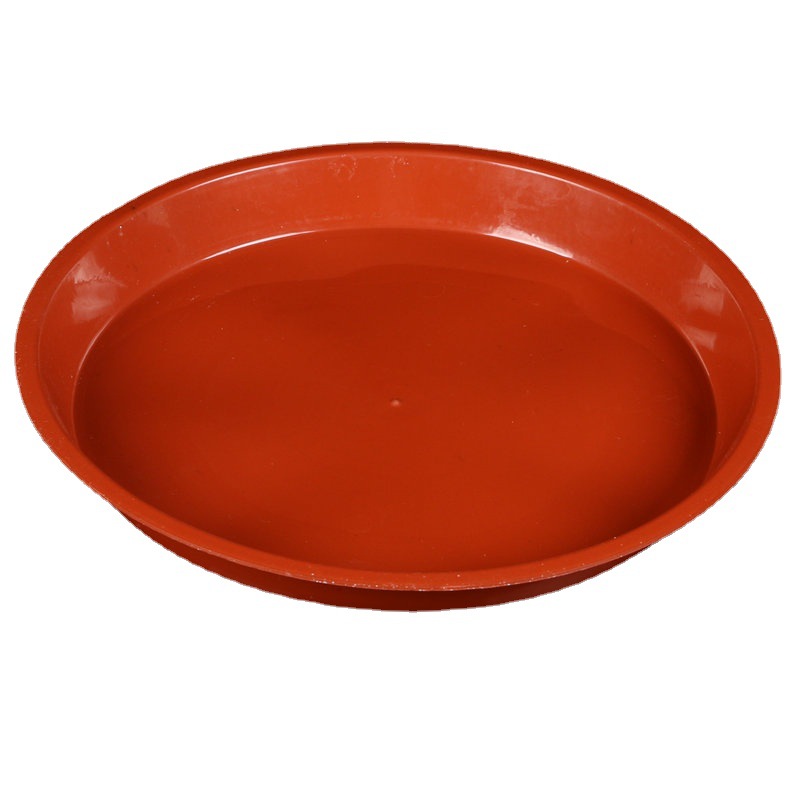 import白底实物图