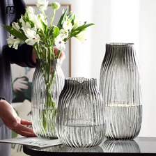 纳纶大号玻璃花瓶透明水养富贵竹百合花瓶摆件客厅插鲜花干花北欧