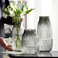 纳纶大号玻璃花瓶透明水养富贵竹百合花瓶摆件客厅插鲜花干花北欧图