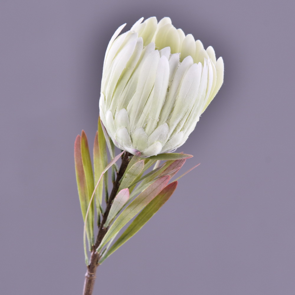 东篱花业仿真公主花 高档仿真帝王花批发 样板间酒店装饰假花南非帝王花一件代发