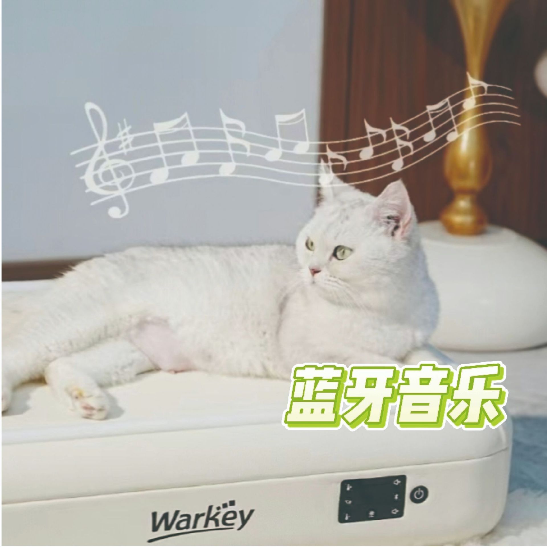 Smart pet air conditioning beds for both heating and cooling, pet supplies, cat and dog beds, Bluetooth speakers, cross-border wholesale Application Scenario