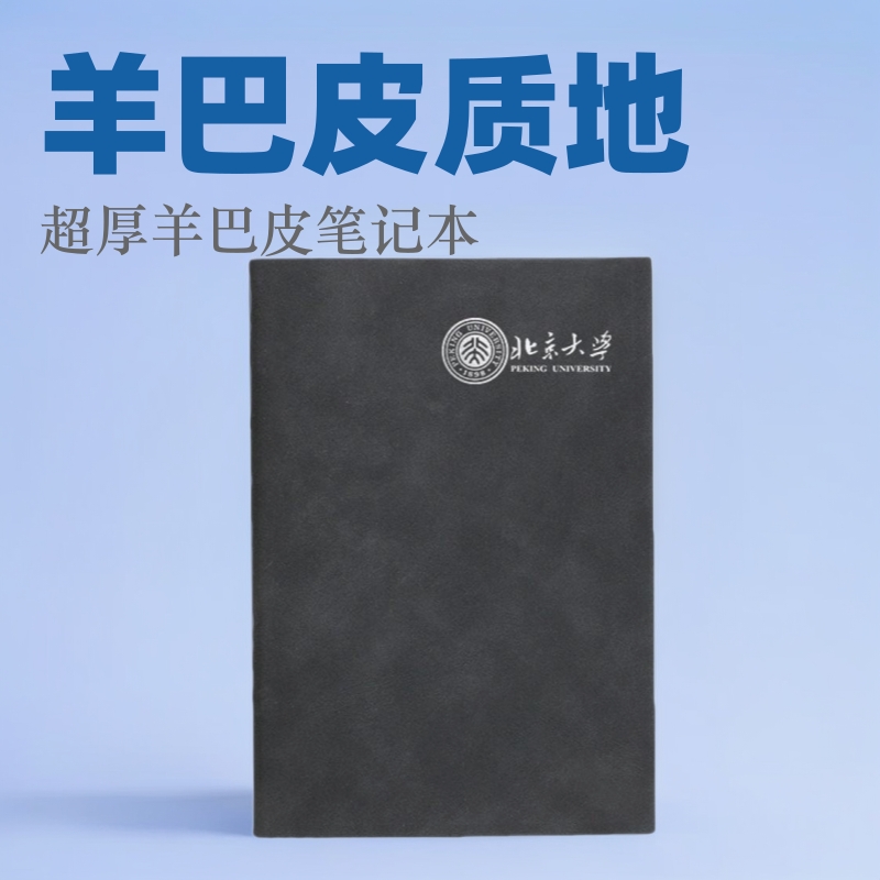 A5复古羊巴皮软面笔记本子简约文艺精致商务会议学生记事记录本