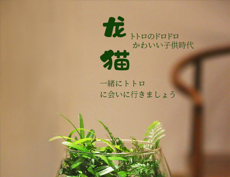 苔藓植物微景观瓶玻璃生态瓶办公桌面创意绿植摆件 DIY玻璃景观瓶详情8