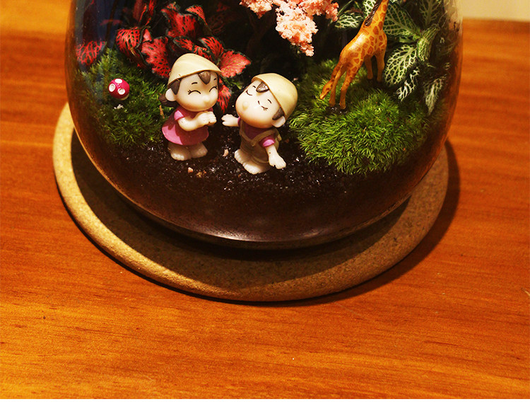苔藓植物微景观瓶玻璃生态瓶办公桌面创意绿植摆件 DIY玻璃景观瓶详情16