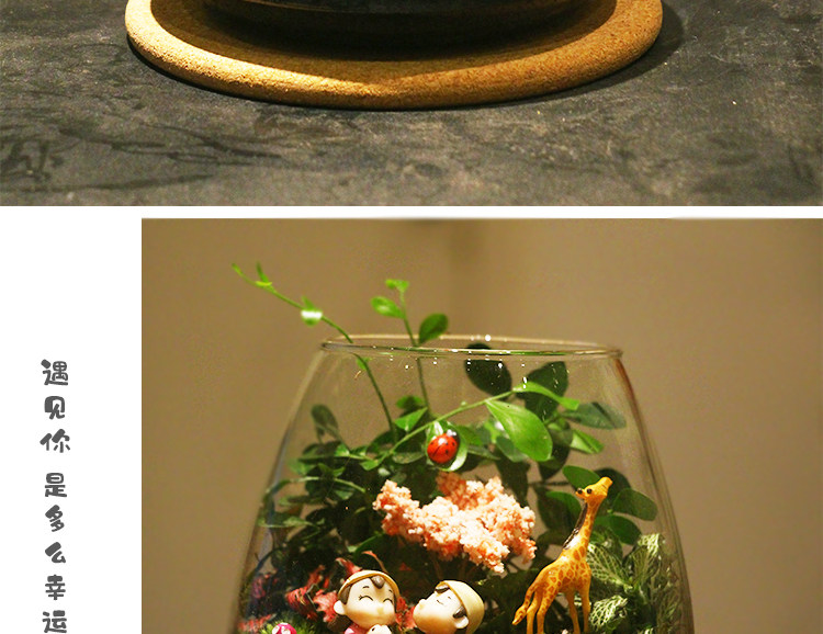 苔藓植物微景观瓶玻璃生态瓶办公桌面创意绿植摆件 DIY玻璃景观瓶详情14