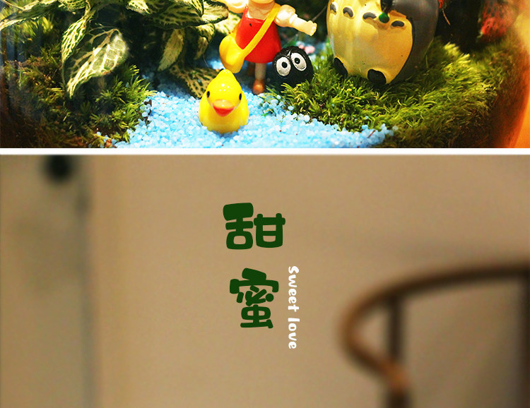 苔藓植物微景观瓶玻璃生态瓶办公桌面创意绿植摆件 DIY玻璃景观瓶详情12