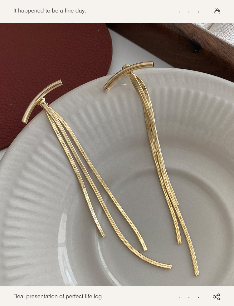 Metal tassel earrings 2024 New bestsellers, feminine earrings with a light luxury and high-end feel, long version, elegant and smiling ear needles pic 10