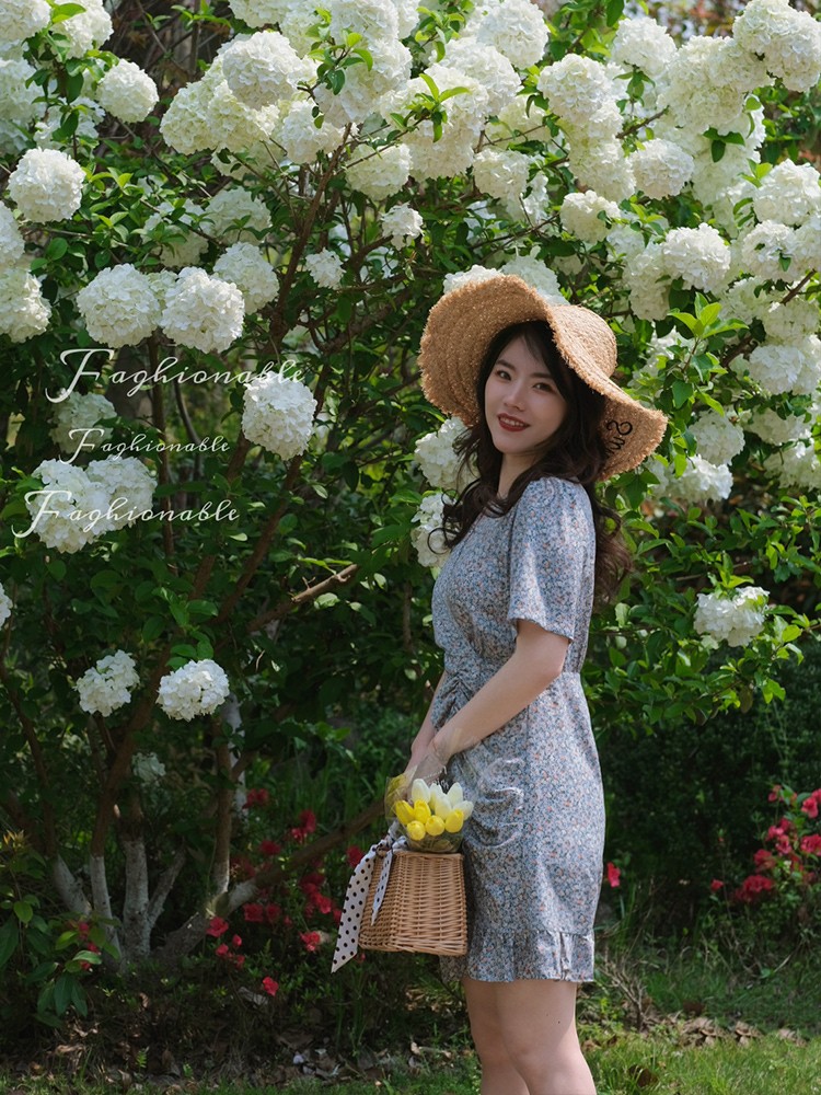 JML Ginger Wheat Grain French V-neck Picnic blue floral pleated high-waisted tea break dress Slimming short dress details Picture
