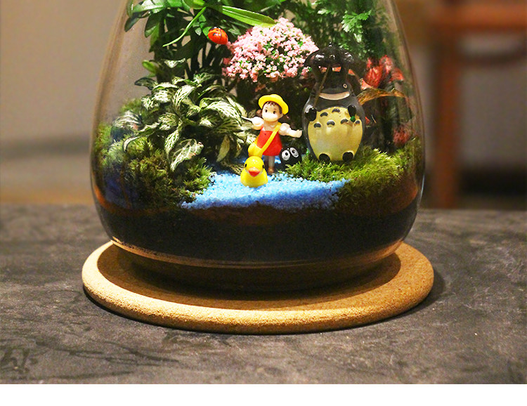 苔藓植物微景观瓶玻璃生态瓶办公桌面创意绿植摆件 DIY玻璃景观瓶详情9