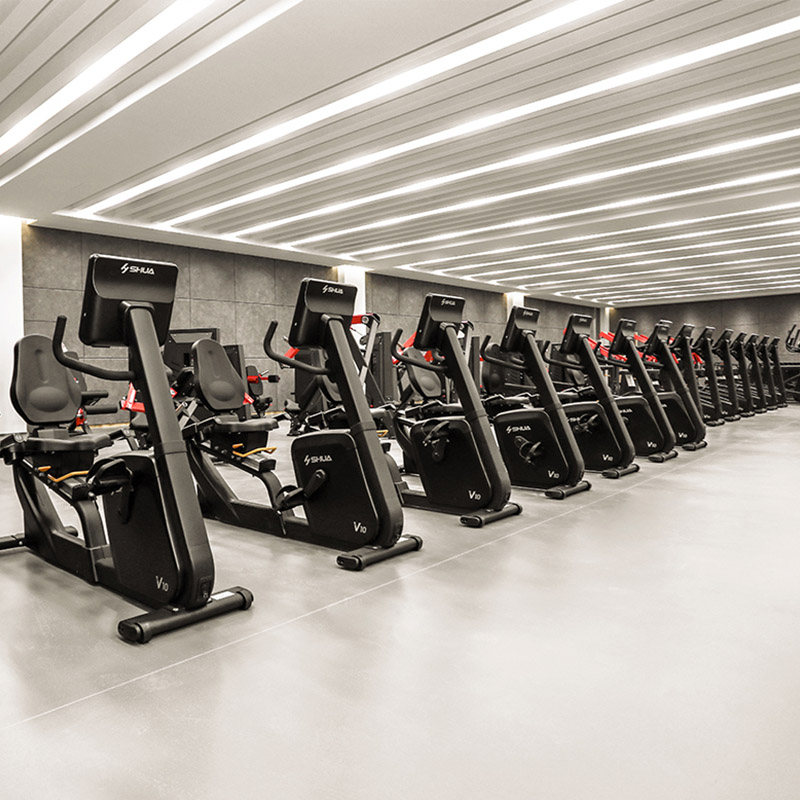 Shuhua Commercial horizontal Exercise Bike B9100R Official Flagship Store Fitness Equipment V10 series details Picture