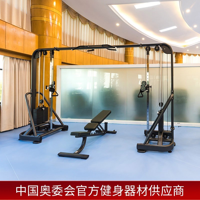 Shuhua Dafeiao Home Comprehensive Strength Training Equipment, large-scale training and fitness equipment for gyms SH-G6852 details Picture