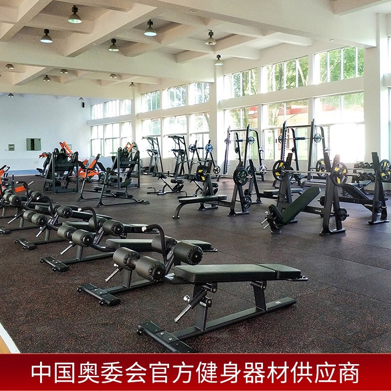Shuhua Enterprise and Public Institution Gym Strength Personal Trainer Level Up and Down Inclined Push Chair Training Equipment SH-G6873 Specification image