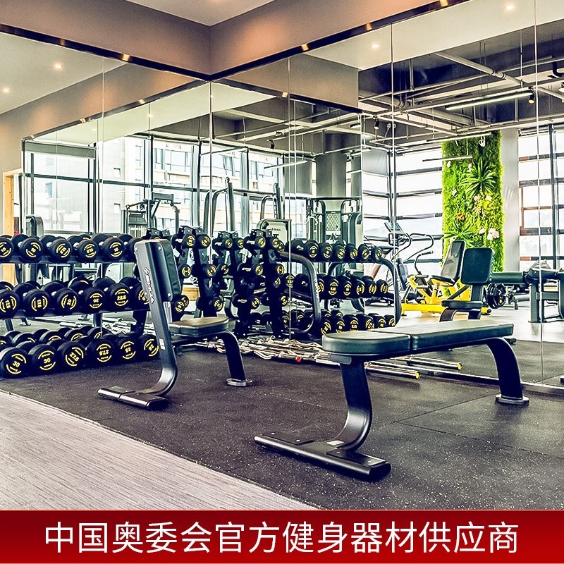 Shuhua Multi-functional Back Muscle Trainer Roman Chair Waist Abdominal Muscle Back Muscle Back Stretching Exercise G6858 Specification image