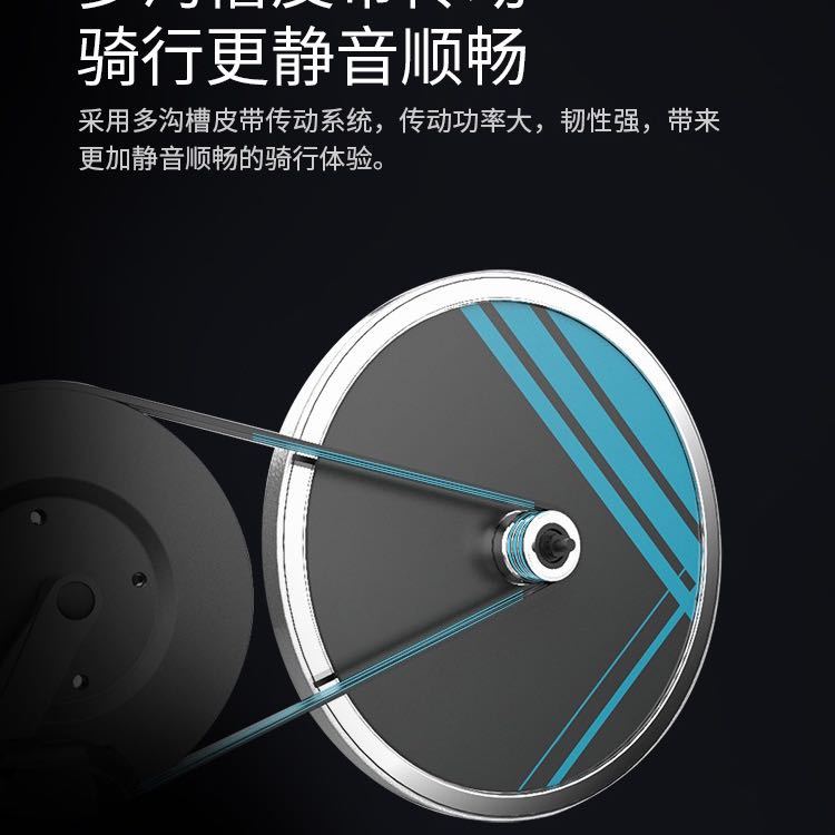 Shuhua Indoor Exercise Spinning Bike, Small home model Exercise bike, Sports pedal bicycle B599 details Picture