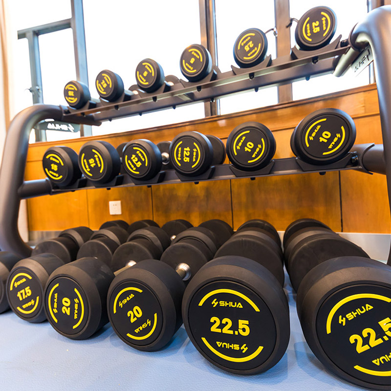 Shuhua Commercial dumbbell Rack G6884 can be used by enterprises to place dumbbell flying birds and barbell plate rack combination gym equipment details Picture