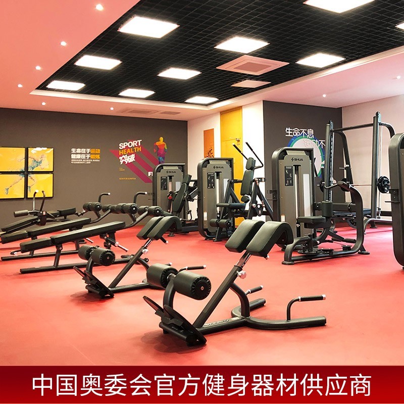 Shuhua Multi-functional Back Muscle Trainer Roman Chair Waist Abdominal Muscle Back Muscle Back Stretching Exercise G6858 details Picture