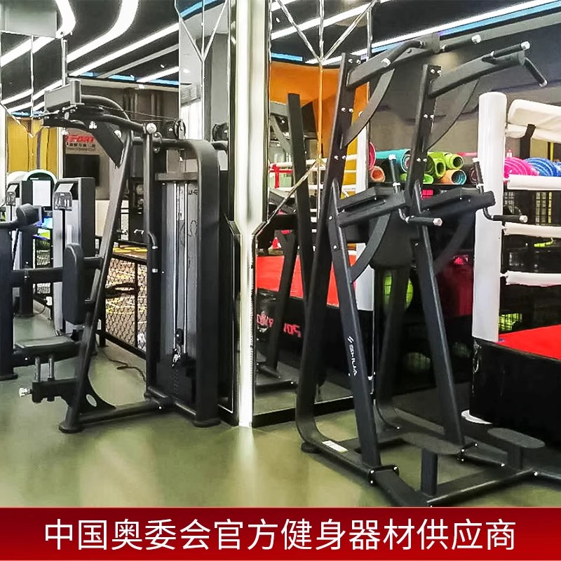 Shuhua Gym Strength Training Equipment SH-G6888 Parallel Bars and leg lift abdominal Muscle Combination Exercise Machine details Picture