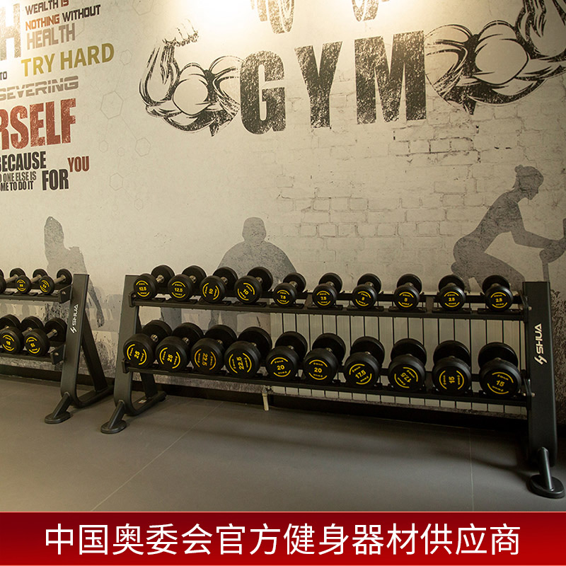 舒华商用哑铃架G6884企业可放置哑铃飞鸟杠铃片架组合健身房器材