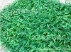 40X60 large seedling lawn, artificial plastic turf, artificial turf, artificial decorative turf wholesale, leisure turf, artificial turf details Picture