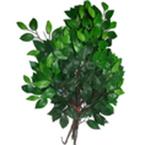Fake ficus leaf fake leaf garden decoration leaf fake maple leaf plastic leaf imitation palm leaf