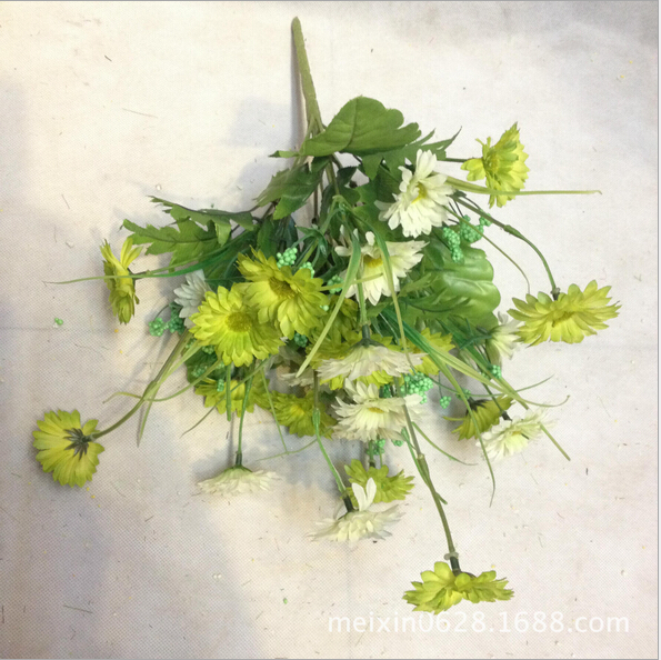 Direct sales and wholesale of 10 Chunse No. 2 chrysanthemums details Picture