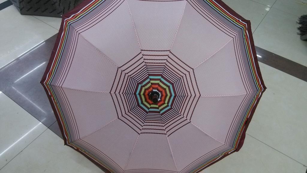 伞具产品图