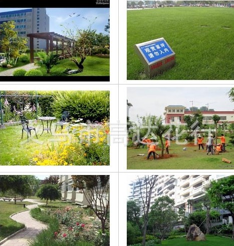 Simulated leisure lawn, football lawn, plastic lawn, artificial turf, simulated plastic lawn, simulated carpet grass, simulated artificial grass, simulated putting green grass Specification image