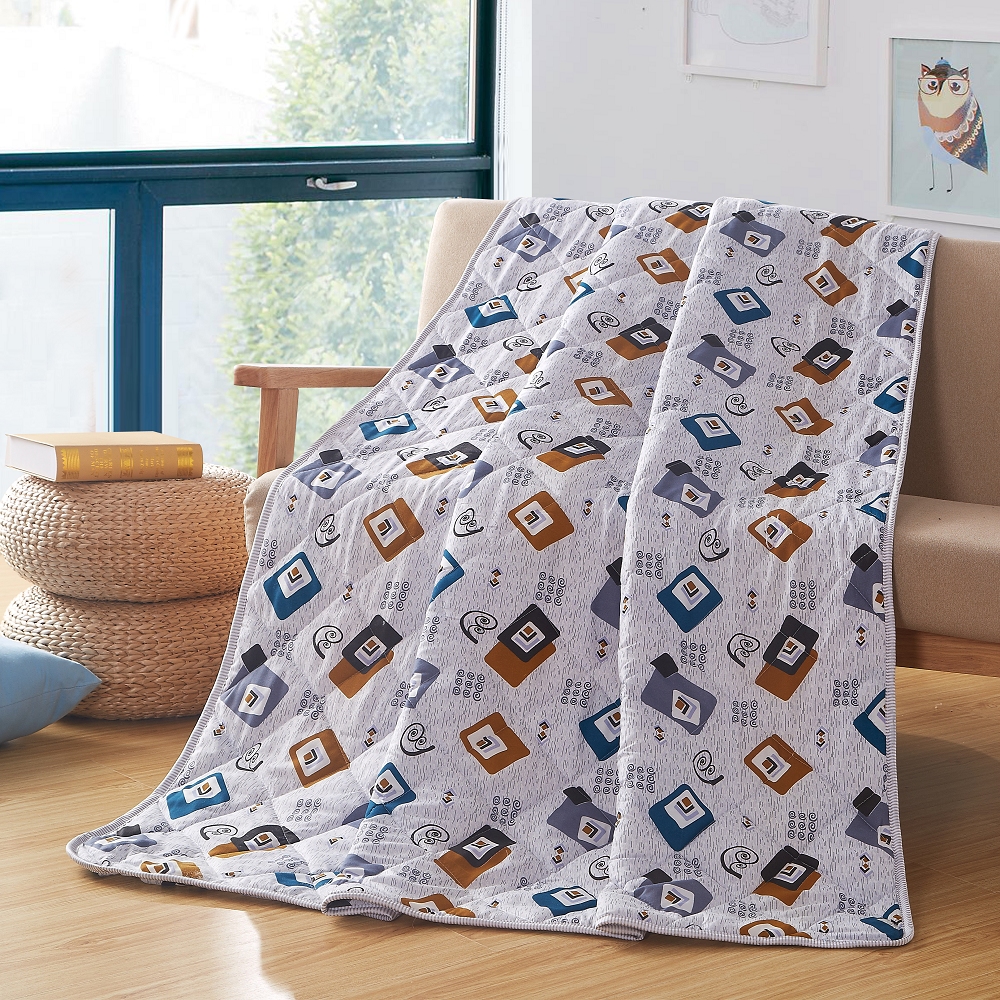 夏凉被 春秋被 绣花空调被 纯棉夏被韩版 床上用品  超柔夏被 送礼的精品  雪鸽家纺床单被套