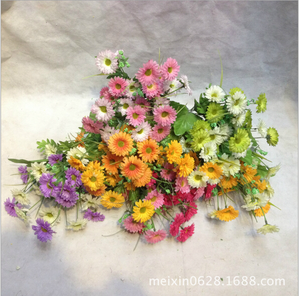 Direct sales and wholesale of 10 Chunse No. 2 chrysanthemums full figure