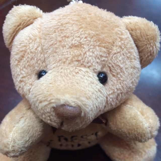 Plush pendant, little bear pendant, plush keychain, little bear Specification drawing
