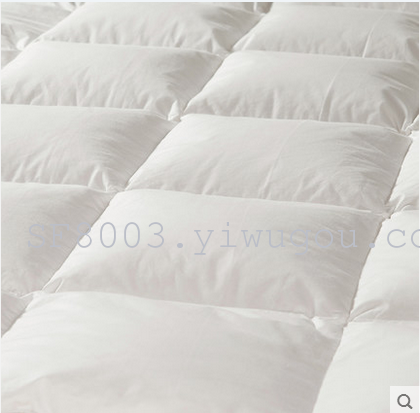 Shefan five-star hotel supplies duck down quilts, down quilt cores, thickened warm quilts details Picture
