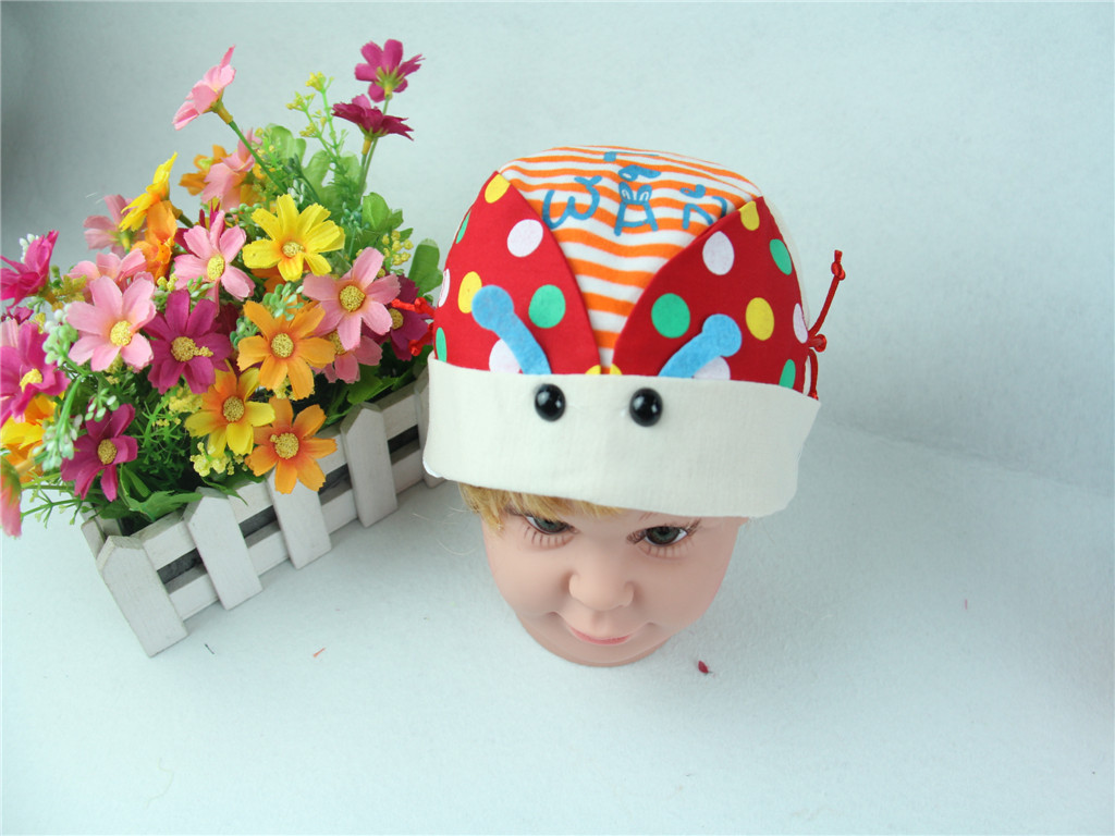 Beetle pirate hat, baby hat, children's hat Application Scenario