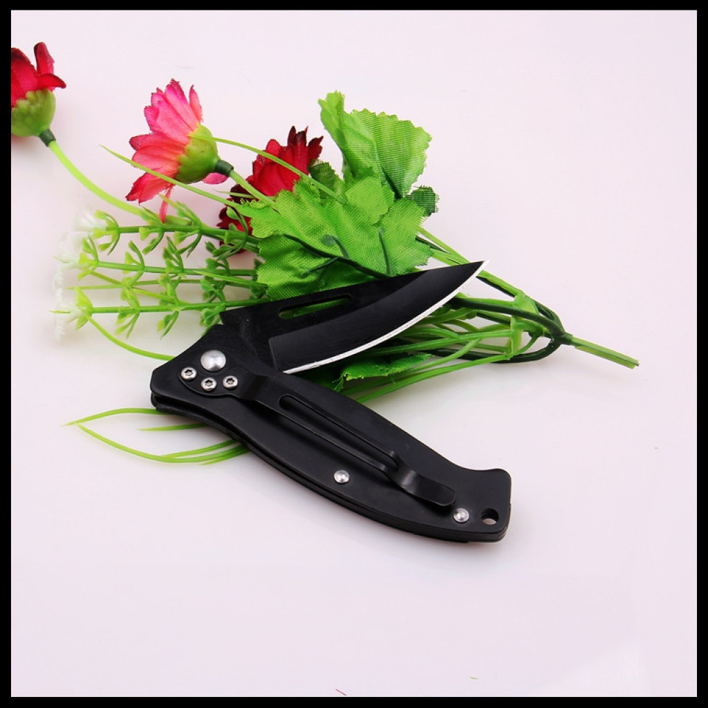 Boston stainless steel knives, portable folding knives, and small knives wholesale Specification image