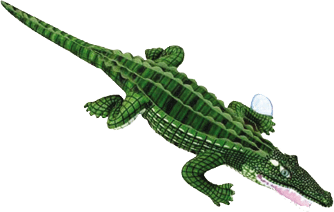 Direct sales of simulated crocodile plush toys from the manufacturer, including simulated crocodile figurines and birthday gifts details Picture