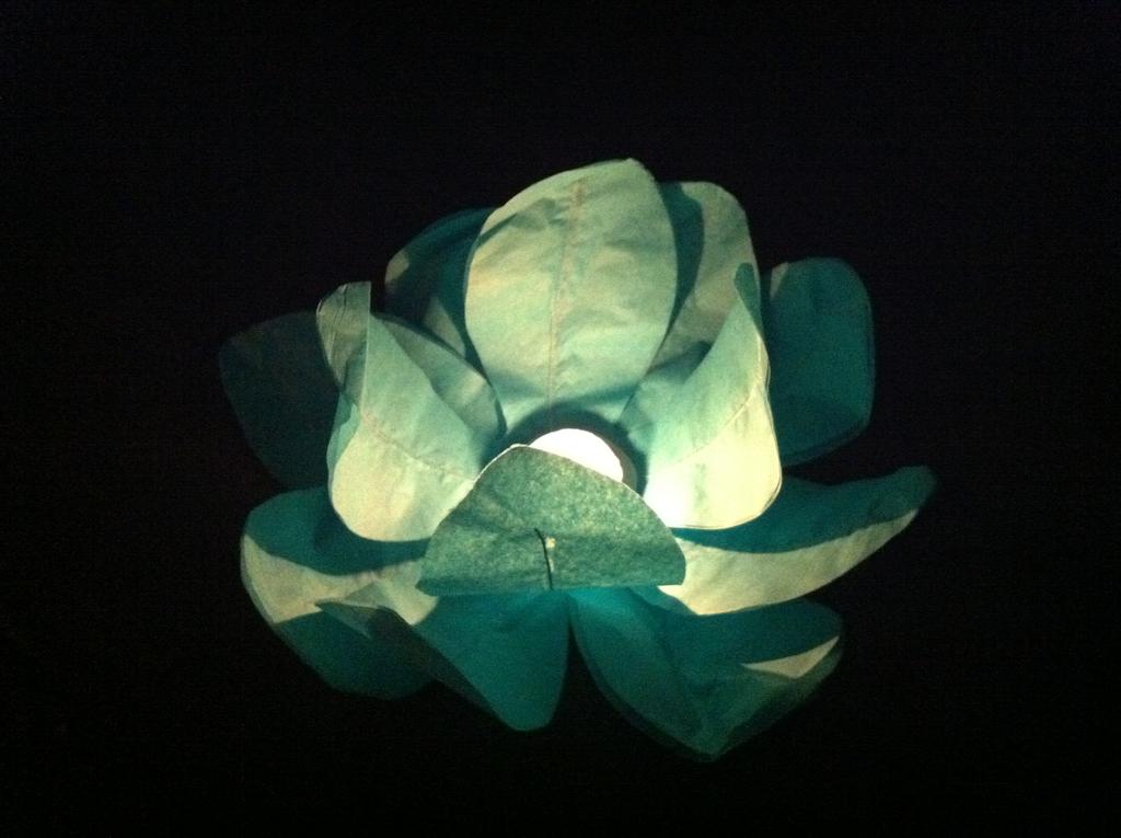 喜庆工艺/节庆/灯笼细节图