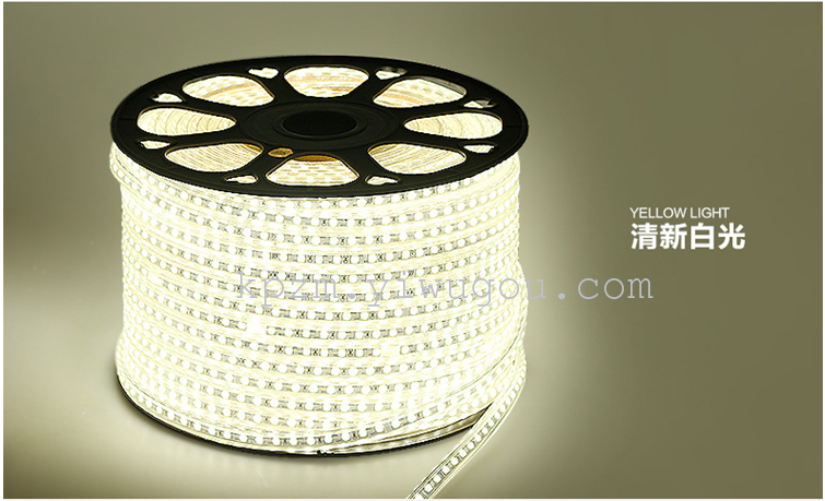LED灯带220v软灯条5050防水灯带厂家直销