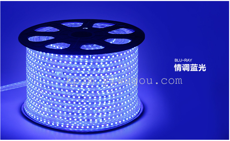 LED light strips 220v soft light strips 5050 waterproof light strips factory direct sales details Picture