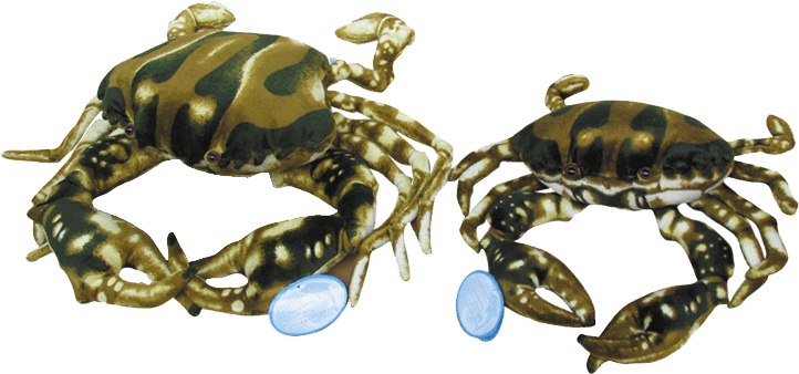 Simulation crab plush toys, large creative birthday gifts, men's and women's dolls Specification image