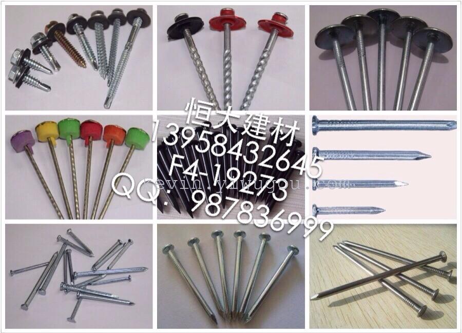 The manufacturer supplies high-quality iron nails, cement nails, steel nails and ordinary nails details Picture