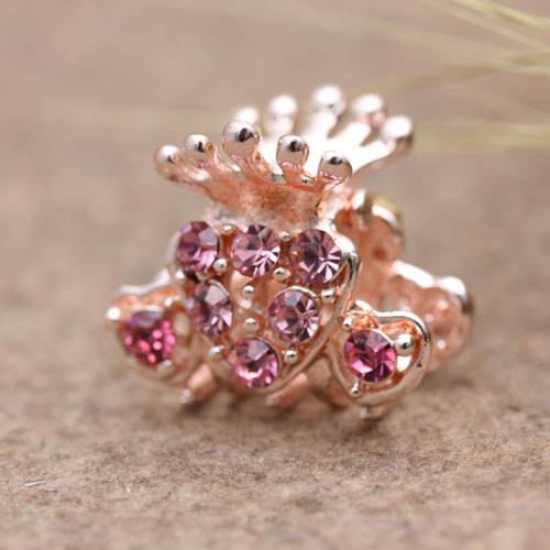 Korean-style hair accessory, small rhinestone alloy color retention clipper, bangs clipper, hair clipper Application Scenario