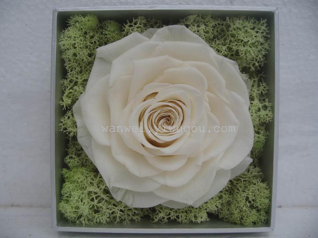 Wanwei Everlasting Preserved Flower Giant never-fading Rose Little Prince Glass Cover Special Item Picture