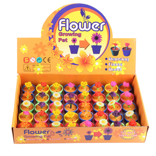 Three-dimensional home plant flowers, magical expansion plant flowers, Valentine's Day gift flowerpots