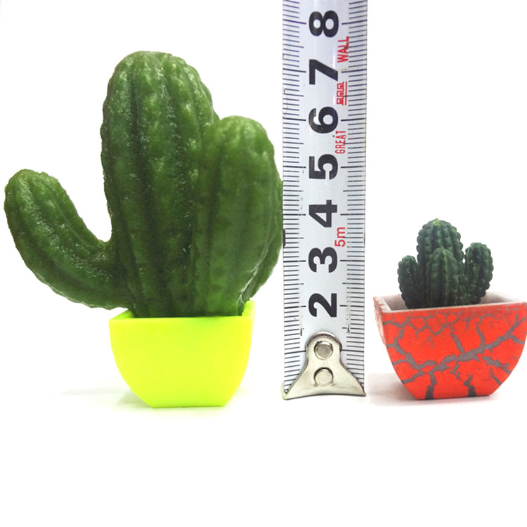 Queer Cool Crack Green Cactus Bubble Large cactus expansion Plant will grow big and small toys wholesale Application Scenario