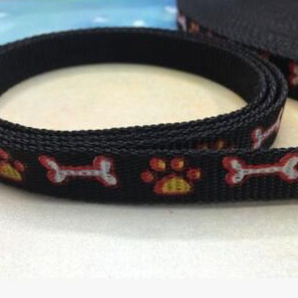 宠物项圈实物图